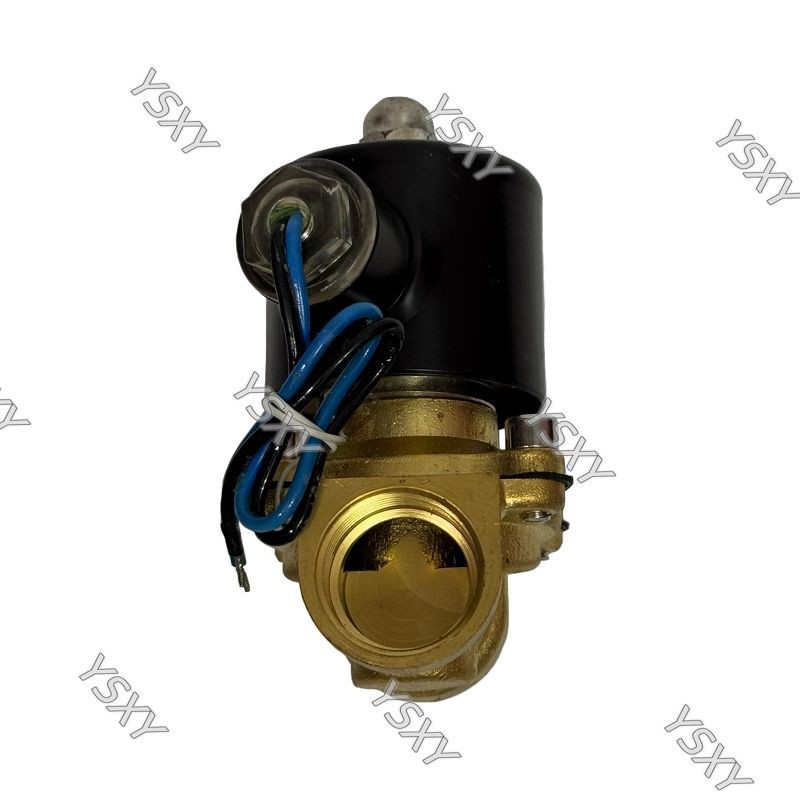 Electronic Water Valve Manufacturer(001)